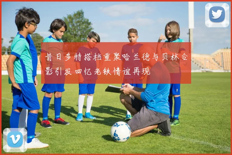昔日多特搭档重聚哈兰德与贝林合影引发回忆老铁情谊再现