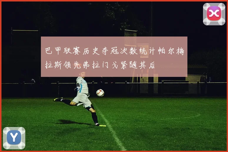 巴甲联赛历史夺冠次数统计帕尔梅拉斯领先弗拉门戈紧随其后