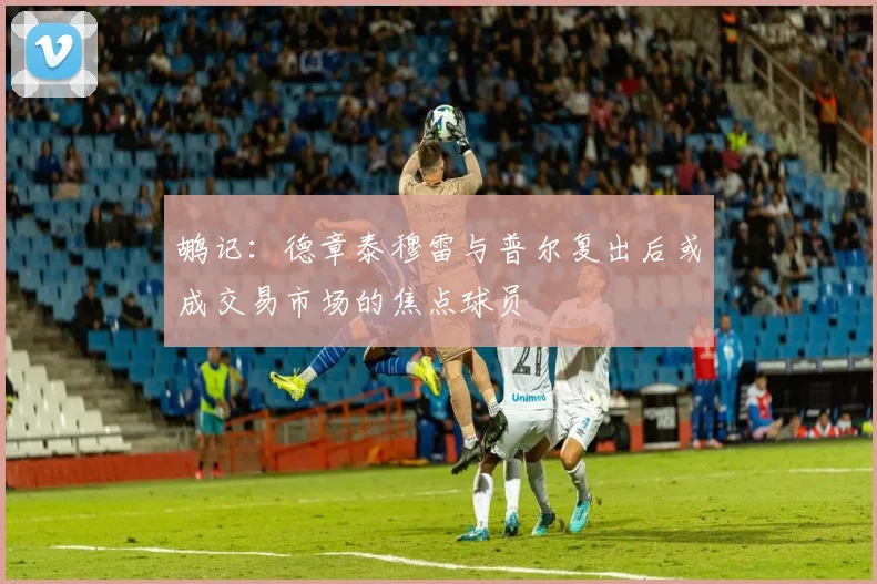 鹕记：德章泰穆雷与普尔复出后或成交易市场的焦点球员