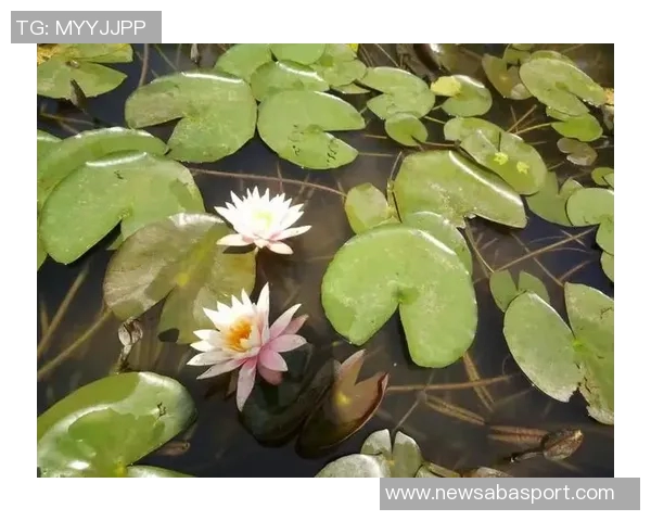 李梦分享中秋团圆美照祝福大家共度佳节快乐时光 李梦分享中秋团圆美照祝福大家共度佳节快乐时光