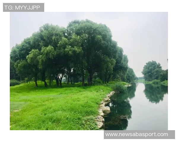 追梦西部挑战虽艰难但我们与湖船携手共创辉煌争夺冠军